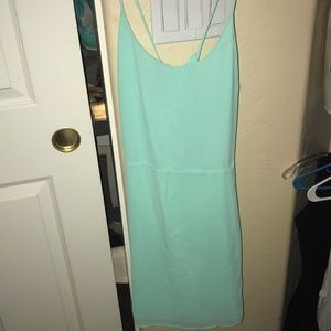 Naked Zebra Mint Green Dress